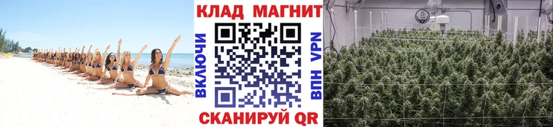 Хочу наркоту Луга Кокаин  APVP  ГАШ 