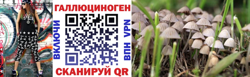 Галлюциногенные грибы Psilocybine cubensis  где купить наркоту  Луга 